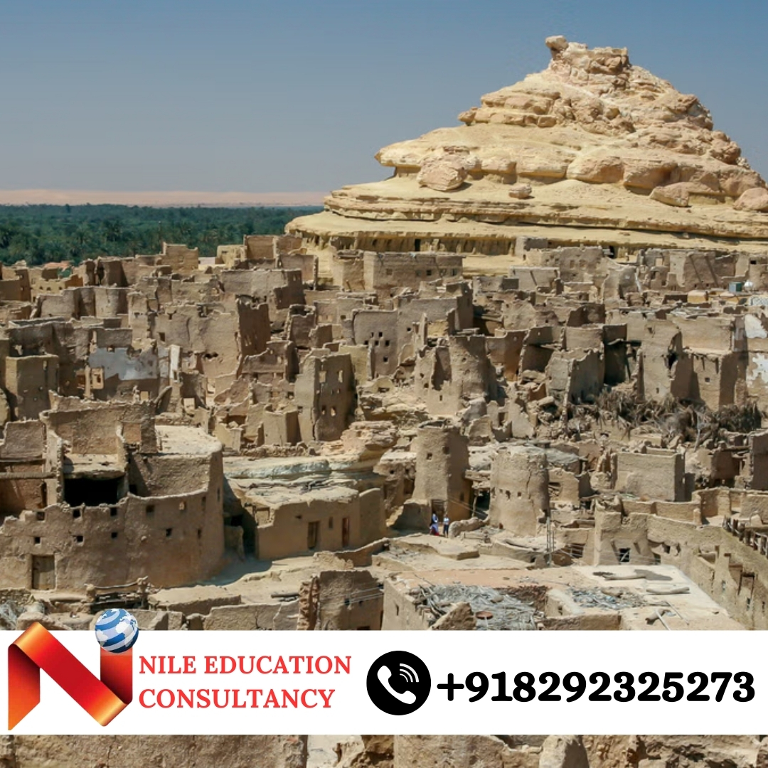 Tanta University Faculty of Medicine Tanta, Egypt State